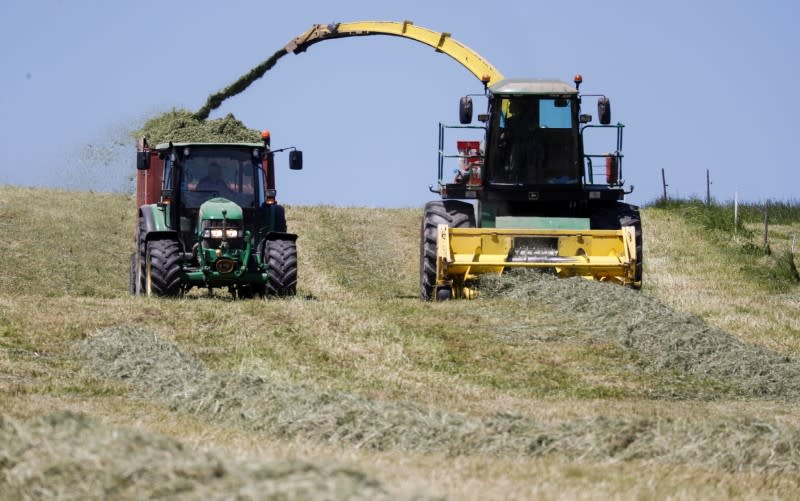 FILE PHOTO: A farmer uses a machine to load cut hay on a trailer near Birmensdorf