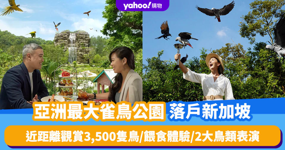 新加坡旅遊｜亞洲最大雀鳥公園！8大鳥禽展區＋企鵝館：近距離觀賞3,500隻鳥／餵食體驗／2大鳥類表演