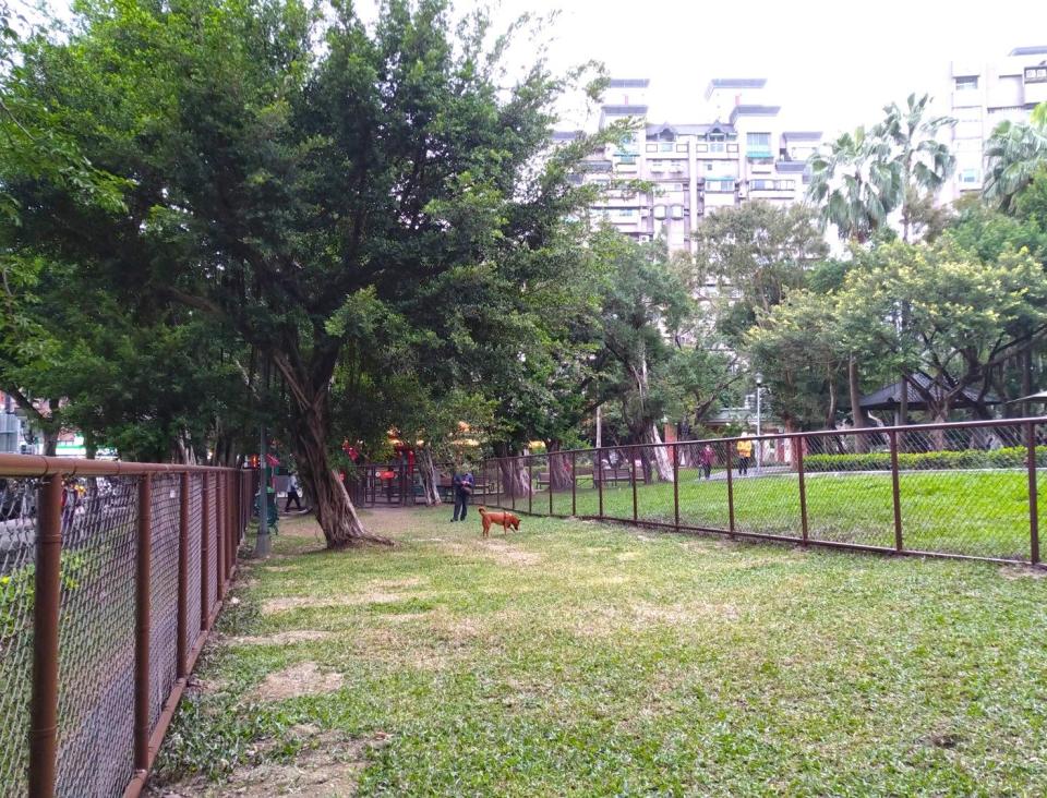 玉成公園狗活動區近期正式開放使用，大小型犬共用同一空間。圖/北市府動保處