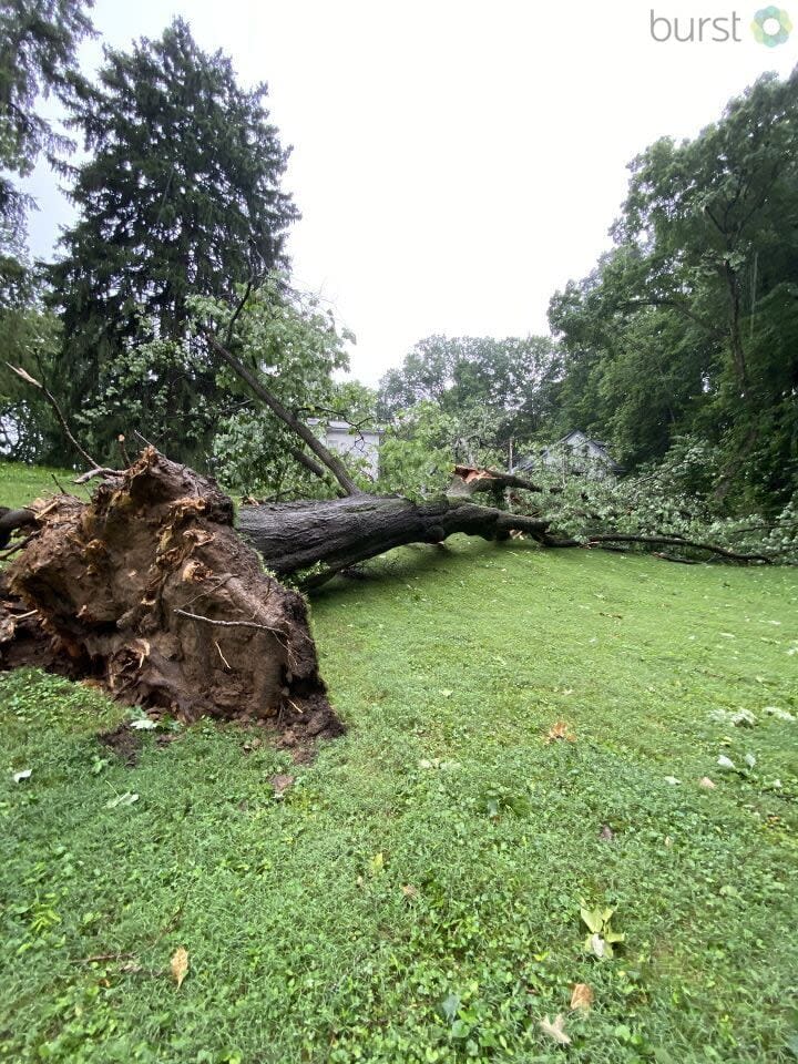 Storm Damage in the Miami Valley