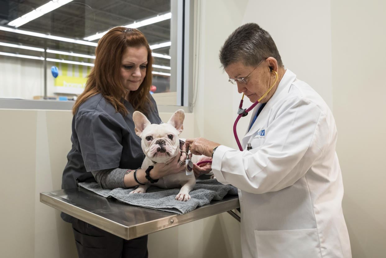 IMAGE DISTRIBUTED FOR PETCO - In this image distributed on Tuesday, Oct. 10, 2017, Petco expands pet services offerings to include complete vet care. The pet specialty retailer opened its first in-store veterinary hospital in Aldine, Texas this month. (Paul Ladd/AP Images for Petco)