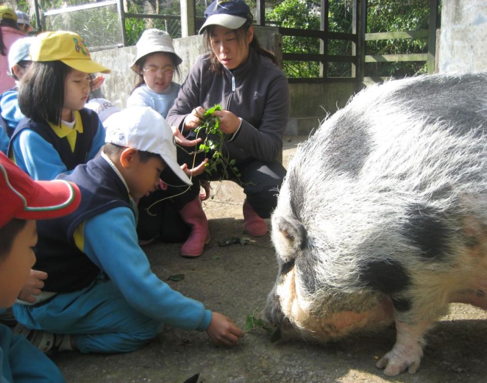 動物區收容的動物以經濟動物為大宗。   紀慧玲/提供