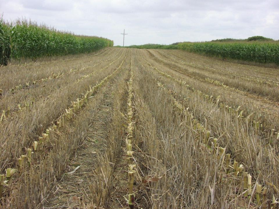 By only disturbing the portion of the soil that is to contain the seed row, the strip-till conservation system aligns with the Healthy Soil Act&#x002019;s basic soil health principles. The New Mexico Department of Agriculture is accepting grant applications for its Healthy Soil Program, which was created in the 2019 Healthy Soil Act. Applications are due by 5 p.m. Thursday, May 12.