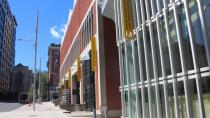 Montreal Museum of Fine Arts buzzing with activity as bees take up residence on roof