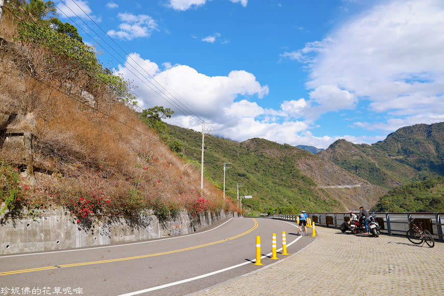 屏東霧台賞櫻