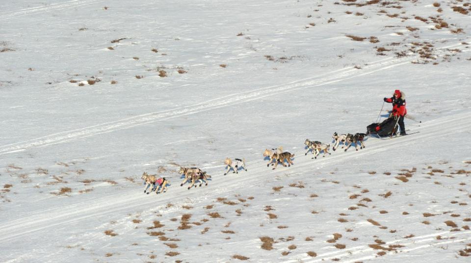 Aliy Zirkle mushes her dog team between the checkpoints of Kaltag and Unalakleet during the 2014 Iditarod Trail Sled Dog Race on Saturday, March 8, 2014. (AP Photo/The Anchorage Daily News, Bob Hallinen)