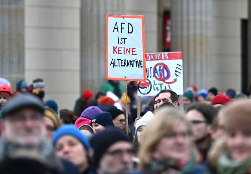 A protester holds a poster reading "AfD is no alternative" during a demonstration against the right at the Brandenburg Gate under the slogan "Defend democracy". Soeren Stache/dpa