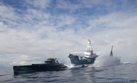 Sea Shepherd harassing a whaling vessel.