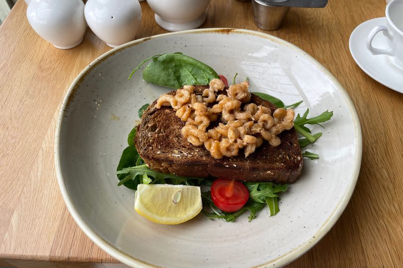 The cafe's Potted Morecambe Bay Shrimps served on toast