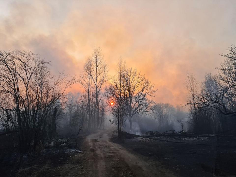 Chernobyl forest fire