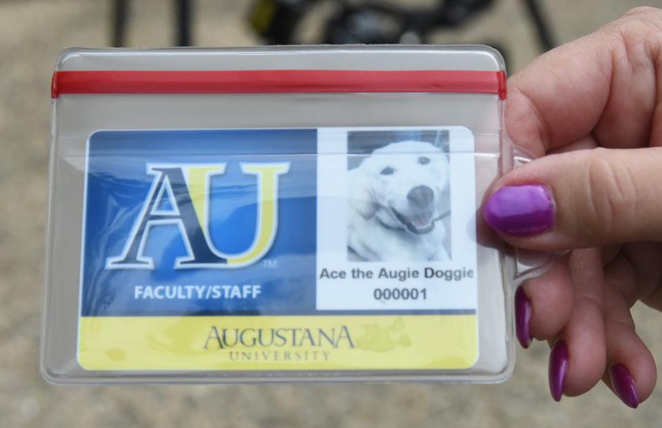 Ace the Augie Doggie has an official ID card for his job at Augustana University, as displayed by chief of staff Pamela Miller, on Thursday, Aug. 24, 2023.