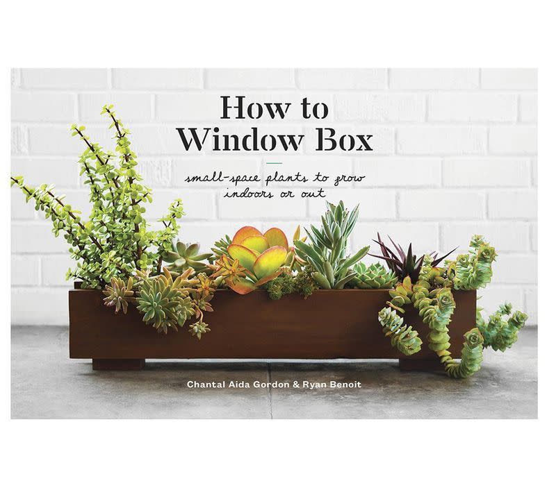 'How to Window Box: Small-Space Plants to Grow Indoors or Out'