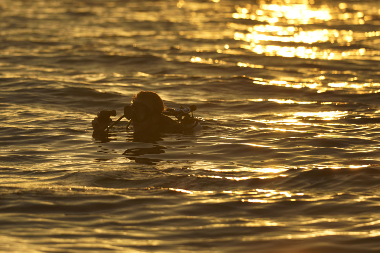 University of Miami's Rosenstiel School of Marine & Atmospheric Science student diver prepares to go down during a night dive to check on coral spawning as the sun sets, Monday, Aug. 15, 2022, in Key Biscayne, Fla. A group of students and scientists were hoping to observe the coral spawn and collect their eggs and sperm, called gametes, to take back to the lab to hopefully fertilize and create new coral that will later be transplanted to help repopulate part of the Florida Reef Tract. (AP Photo/Wilfredo Lee)