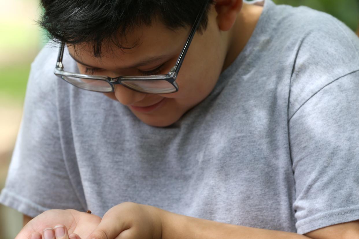 Bryce Vasquez, 8, admires a ladybug at the Big Bloom Plant Sale at the South Texas Botanical Gardens & Nature Center Saturday. Vasquez and others were able to release ladybugs into the wild.