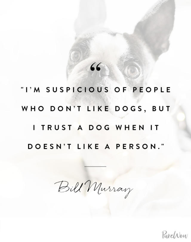 14 Dog Quotes That Totally Capture Your Relationship With Your Four Legged Friend