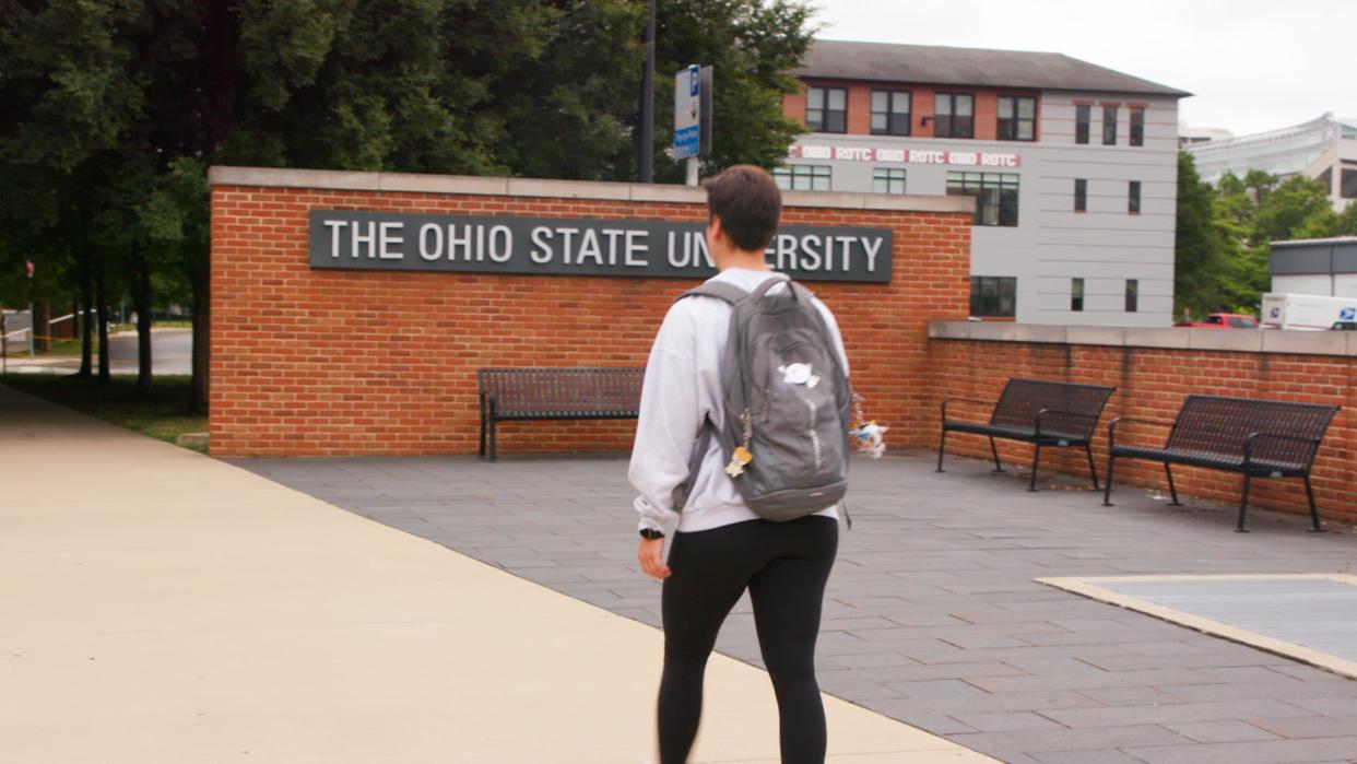 The stress of the pandemic and virtual learning is taking its toll on a third of college students, mental health experts say.