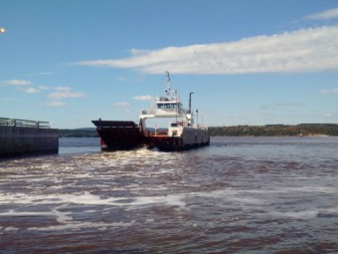 The Peninsula Princess ferry, which operates on the Kennebecasis River between Millidgeville and Summerville on the Kingston Peninsula, will not be in operation in the event of a Oct. 22 CUPE Local strike.  (GNB - image credit)