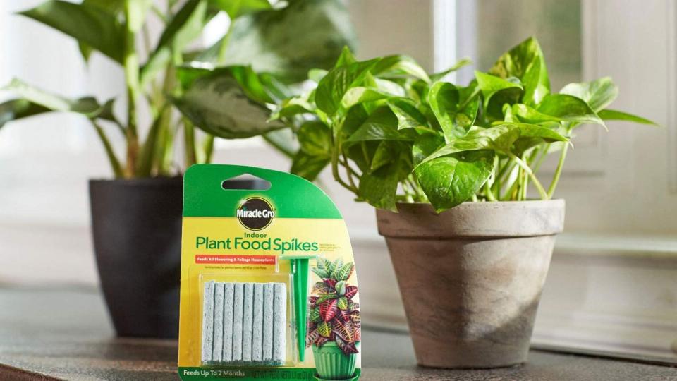 Miracle-Gro Indoor Plant Food Spikes