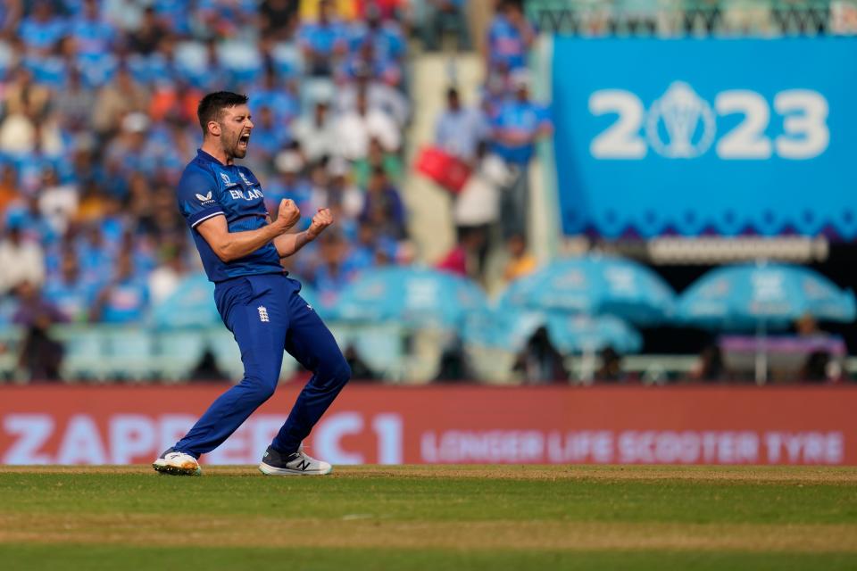 Mark Wood celebrates taking a wicket (AP)