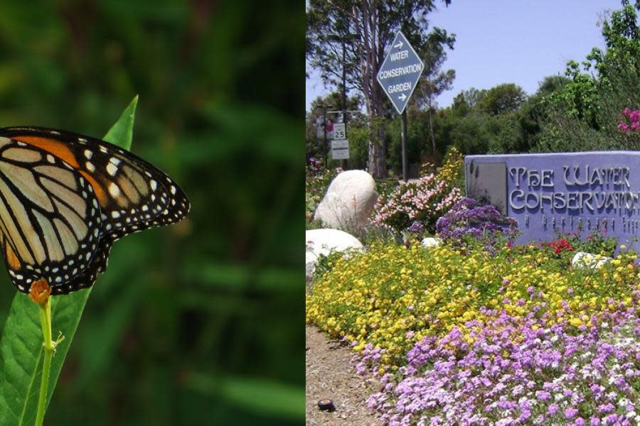 Conéctate con la naturaleza visitando gratis Water Conservation Garden en San Diego