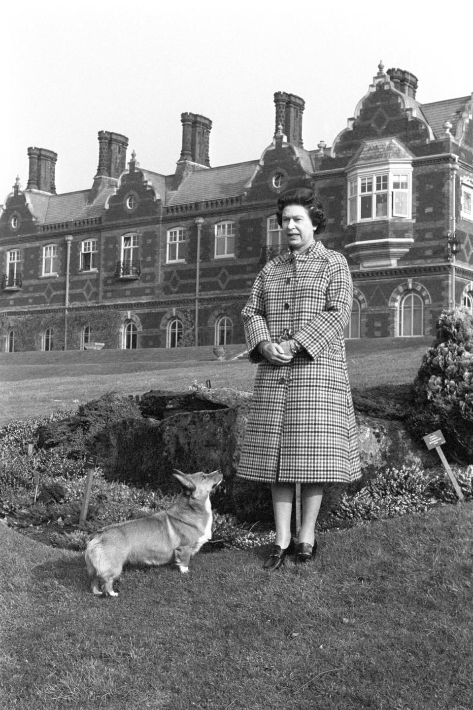 Queen Elizabeth II with a corgi in the grounds of Sandringham House, Norfolk, to mark the 30th anniversary of the Queen’s accession to the throne. (PA)