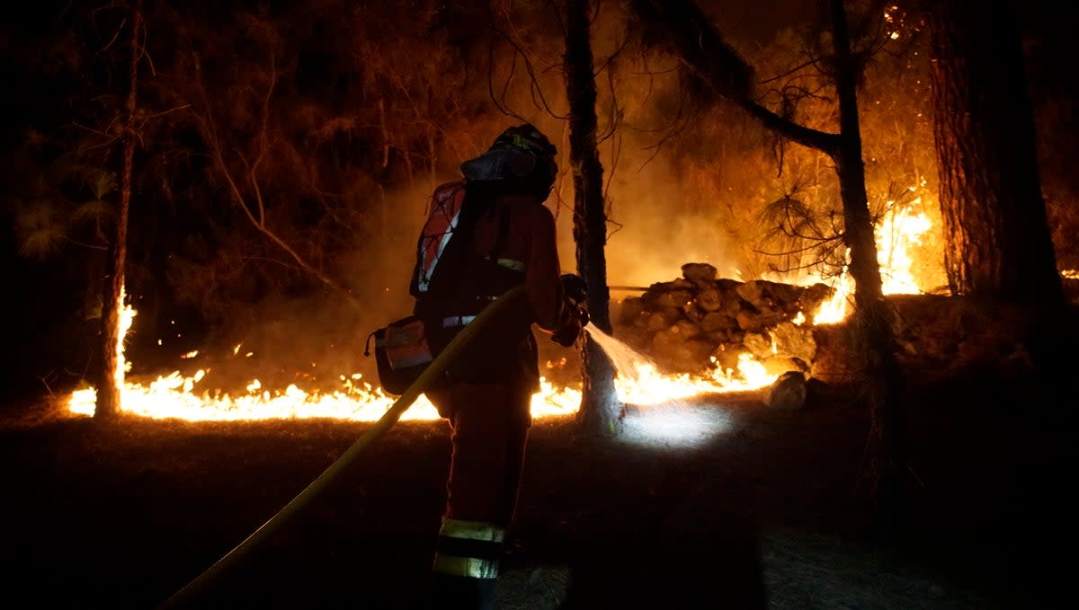 Firefighter working to extinguish the forest fire in Afaro-Candelaria (EPA)