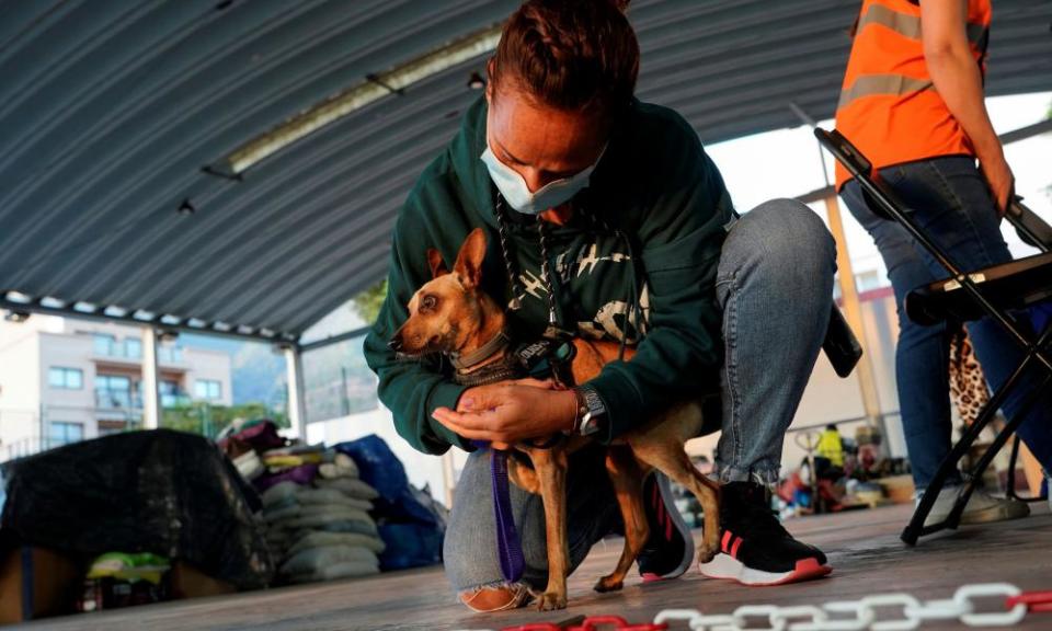 A woman brings an abandoned dog she found to an animal rescue centre