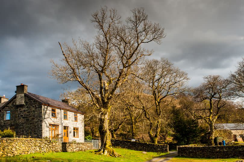 Farmhouse located in Snowdonia owned by the National Trust. The image shows the picturesque Llyndy Isaf, in Nant Gwynant, where a selected tenant will be filmed for Channel 4's 'Our Dream Home' with Matt Baker