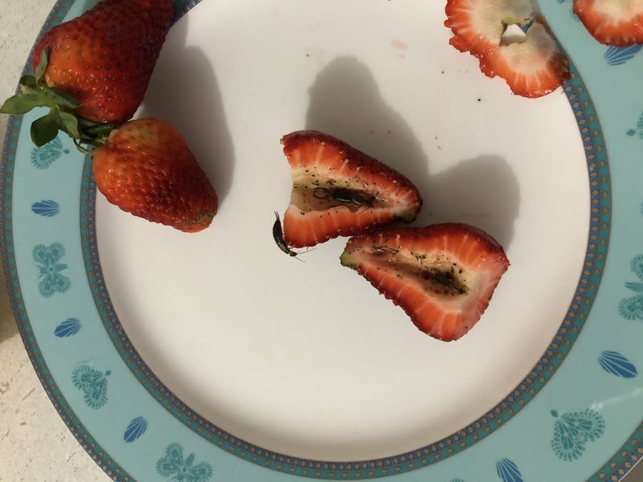 Understandably, the child didn't feel like strawberries anymore. Source: Facebook 