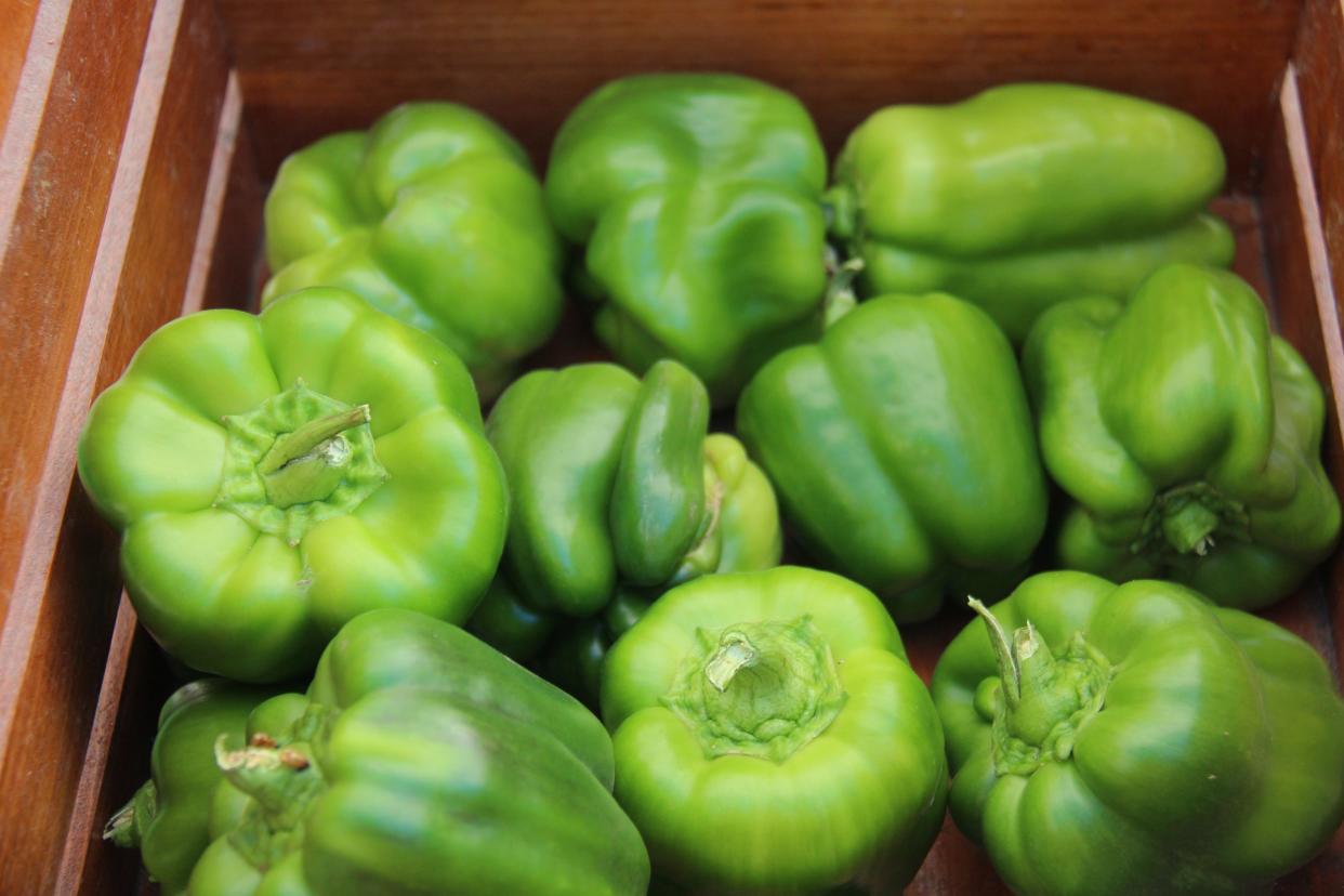 Green peppers for sale at the Wilson Farm Produce booth during the Perry Farmers Market this summer. A fall market will be held on Saturday, Oct. 15 at the Perry Public Library Community Room.