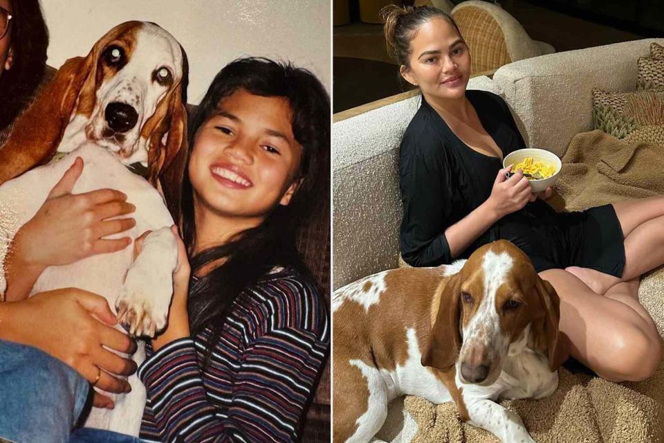 <p> Chrissy teigen/Instagram</p> Chrissy Teigen honored her past and current pets with a sweet Instagram post.