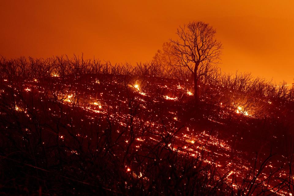 Embers smolder along a hillside after the Ranch Fire, part of the Mendocino Complex Fire, which burned though the area near Clearlake Oaks, California, on Aug. 5, 2018. (Photo: NOAH BERGER via Getty Images)