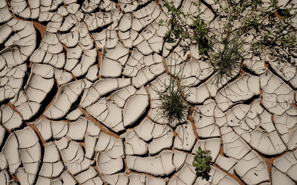 Brine-covered soil cracks as it dries in the hot sun on Ashley Williams Watt's cattle ranch Friday, July 9, 2021, near Crane, Texas. The disaster unfolding on Watt's ranch offers a window into a growing problem for the oil industry and the communities and governments who are often left to clean up the mess. (AP Photo/Eric Gay)