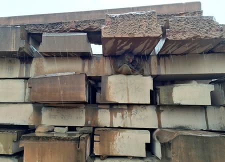 Monkeys take shelter under stone columns that Hindu nationalist group Vishva Hindu Parishad (VHP) say will be used to build a Ram temple at the disputed religious site in Ayodhya in the northern state of Uttar Pradesh, India, June 16, 2016. REUTERS/Rupam Jain