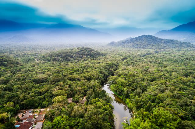 <p>Getty</p> Aerial View of Amazon Rainforest, South America