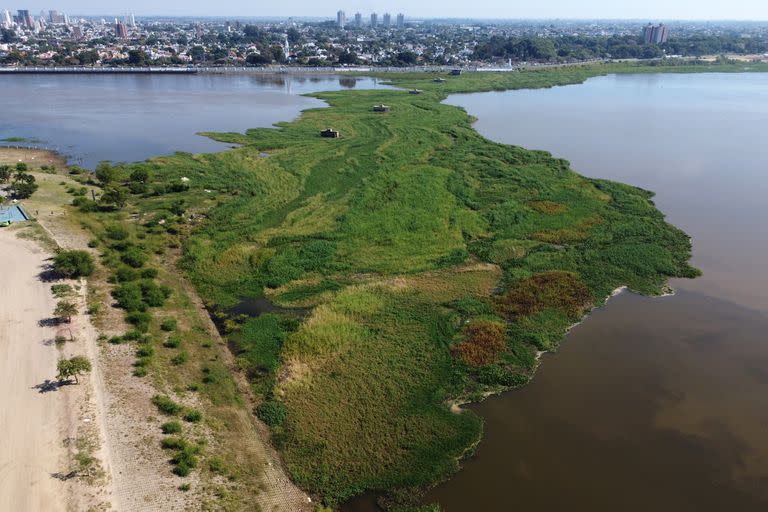 El humedal se ha formado en la Laguna Setubal a raíz de la última creciente del río Paraná