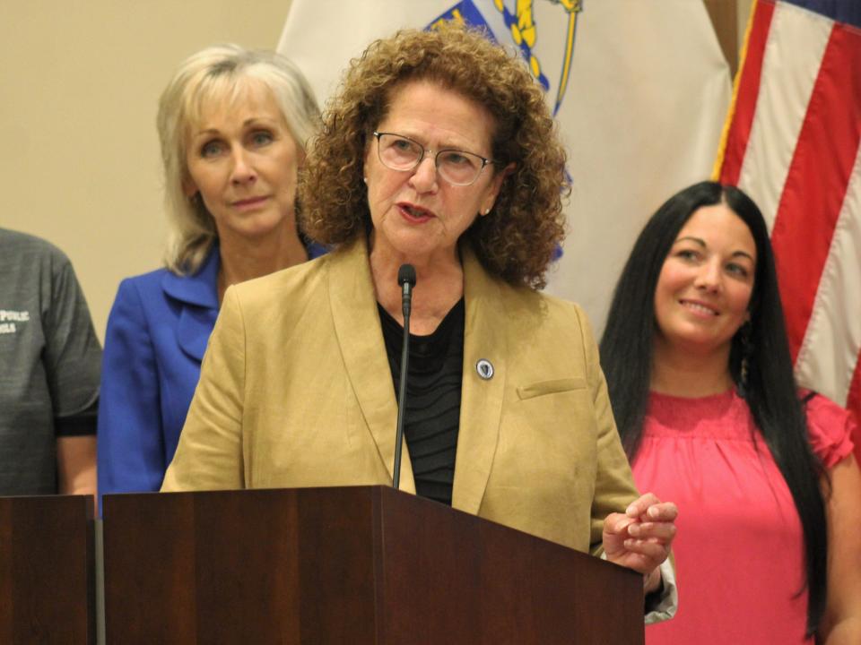 State Rep. Carol Doherty (D-Taunton) speaks during a Taunton City Council meeting on Aug. 8, 2023.