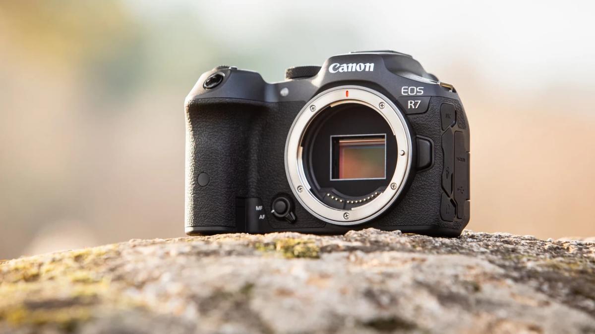 The best Canon cameras for shooting video - Canon Central and North Africa