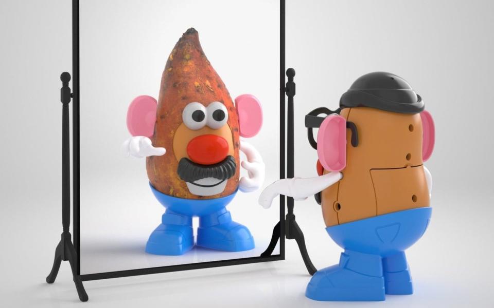 Mr Potato Head looks at Mr Sweet Potato Head