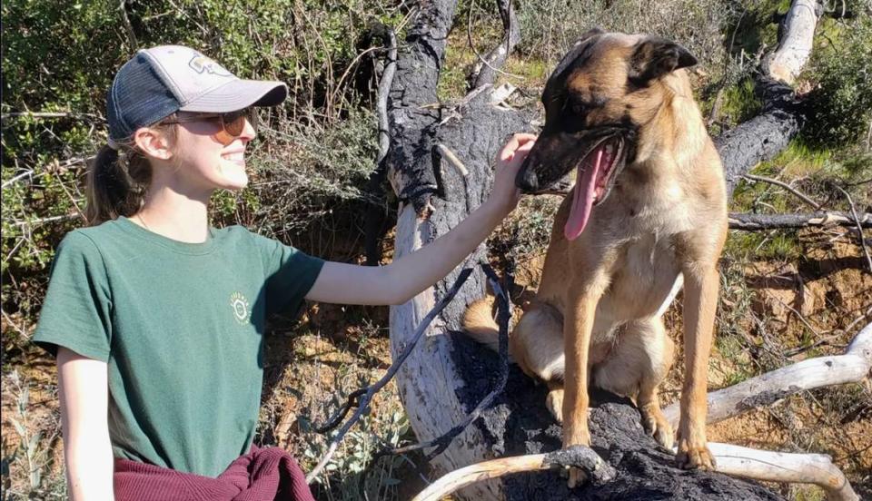 Erin Wilson is shown with her dog, Eva, the 2 1/2-year-old Belgian Malinois was badly wounded fighting with a mountain lion that had just attacked Wilson as the pair were out for an afternoon stroll along the Trinity River on Monday.