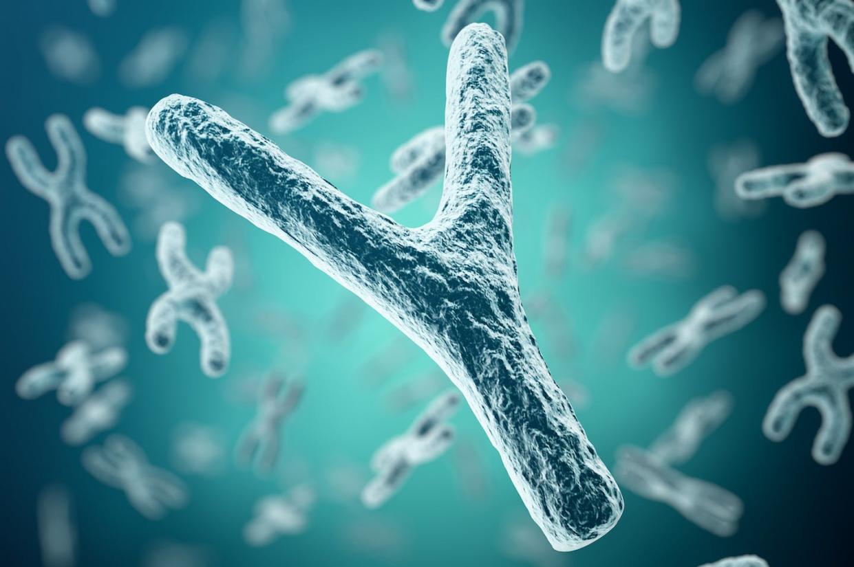 <a href="https://www.shutterstock.com/es/image-illustration/xychromosomes-on-background-medical-symbol-gene-559732429" rel="nofollow noopener" target="_blank" data-ylk="slk:Rost9/Shutterstock;elm:context_link;itc:0;sec:content-canvas" class="link ">Rost9/Shutterstock</a>