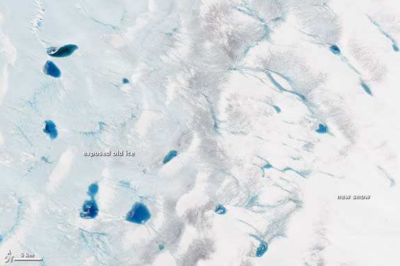 Bright blue melt ponds dot the surface of the Greenland Ice Sheet on June 21, 2013, in an image taken by the Landsat 8 satellite. These melt ponds form in depressions in the ice in the spring and summer when the sun's rays return to the Arctic.