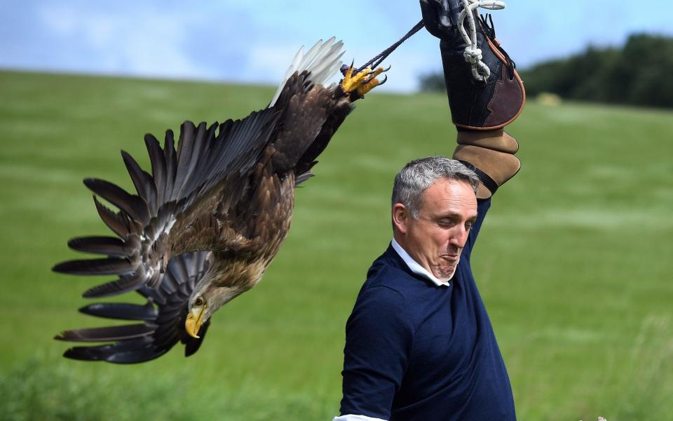 Alex Cole-Hamilton, the leader of the Scottish Liberal Democrats, visits Cluny Falconry in Fife