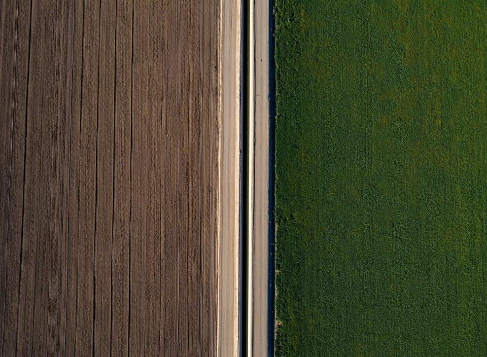 A fallowed field (left) is seen alongside a field of alfalfa separated by an irrigation canal on Debra Keenan's farmland in Ripley, Calif., Wednesday, Oct. 12, 2022. 