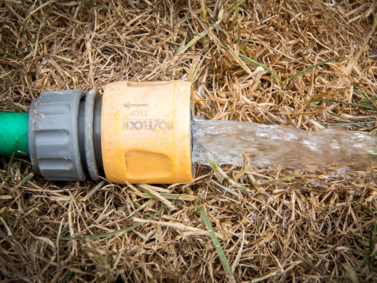 A hosepipe ban has been introduced in Kent and Sussex  (Getty)