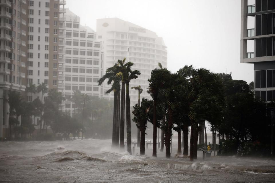 floodwaters cover streets and palm trees sway in Hurricane Irma's winds