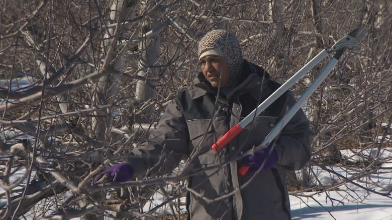 Syrian farming families get back to the land in Nova Scotia