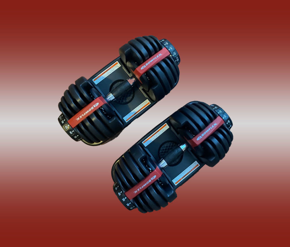 Bowflex SelectTech 552 adjustable dumbbells<p>Joe Wuebben</p>