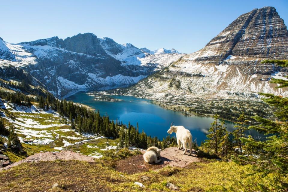 Glacier National Park via Getty Images