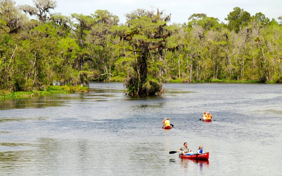 Everglades — Florida